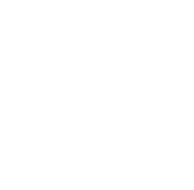 Premium Guitar Service 

Full Fret level on neck jig
Full fret re-crown  -Diamond fret file.
Fret polish - Micro mesh 12000
Trussrod adjustments
Strobe tune Intonation
Check Nut height
Bridge Adjustments
Clean pots and input jack
Quality String Set
$180.00